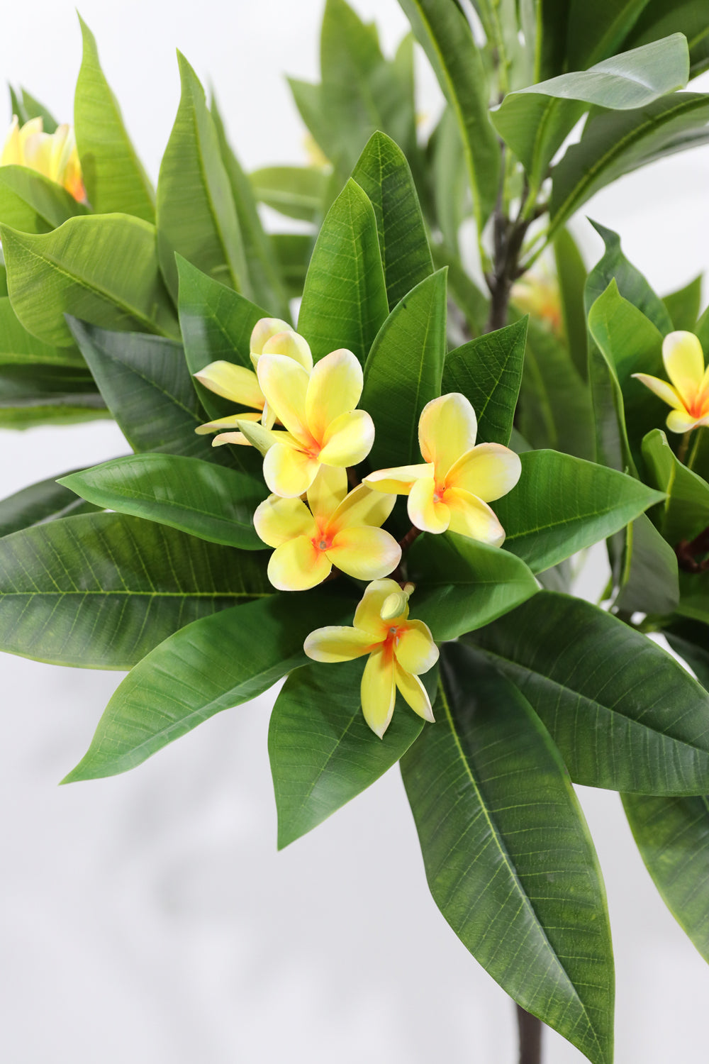 160cm Potted Artificial Frangipani