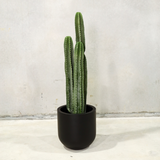 109cm Artificial Cactus