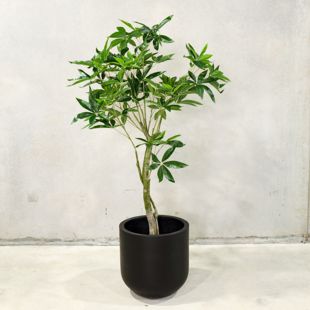 150cm Artificial White Wealth Tree