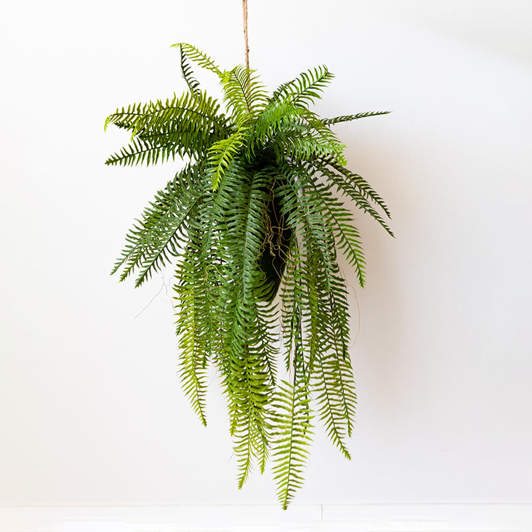 103cm Artificial Hanging Fern