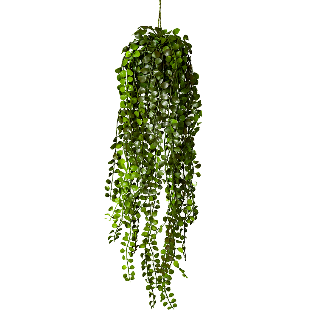 60cm hanging plant