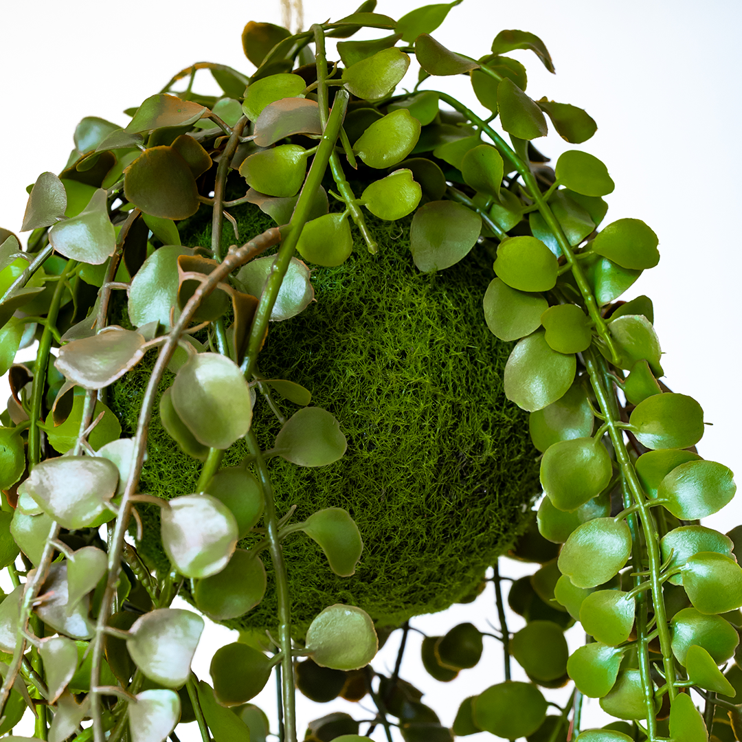 60cm hanging plant