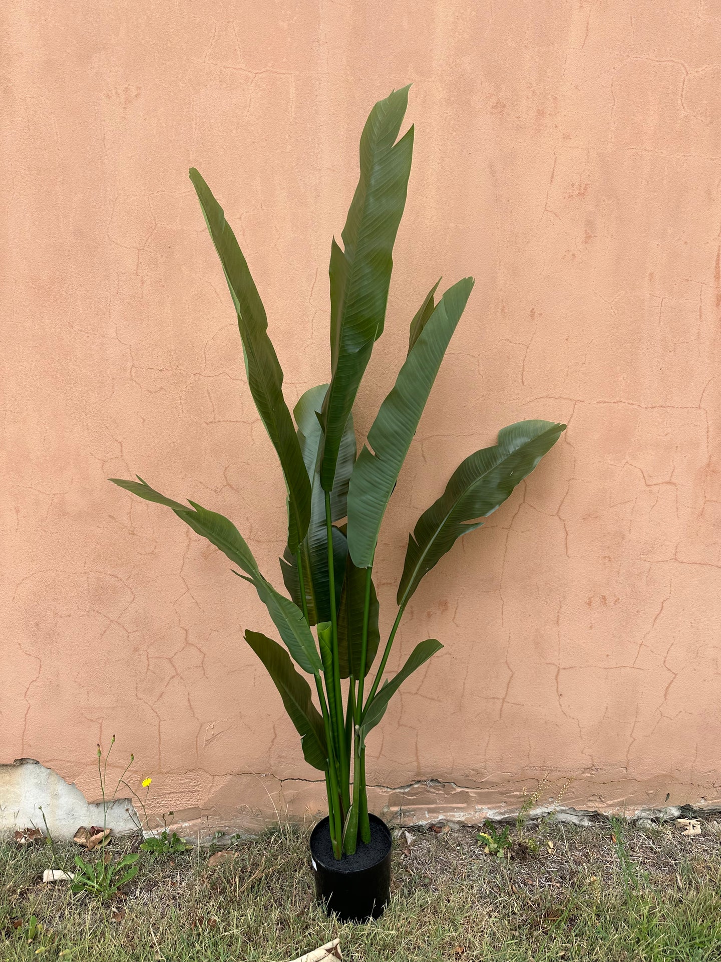 150cm Artificial Strelitzia Nicolai