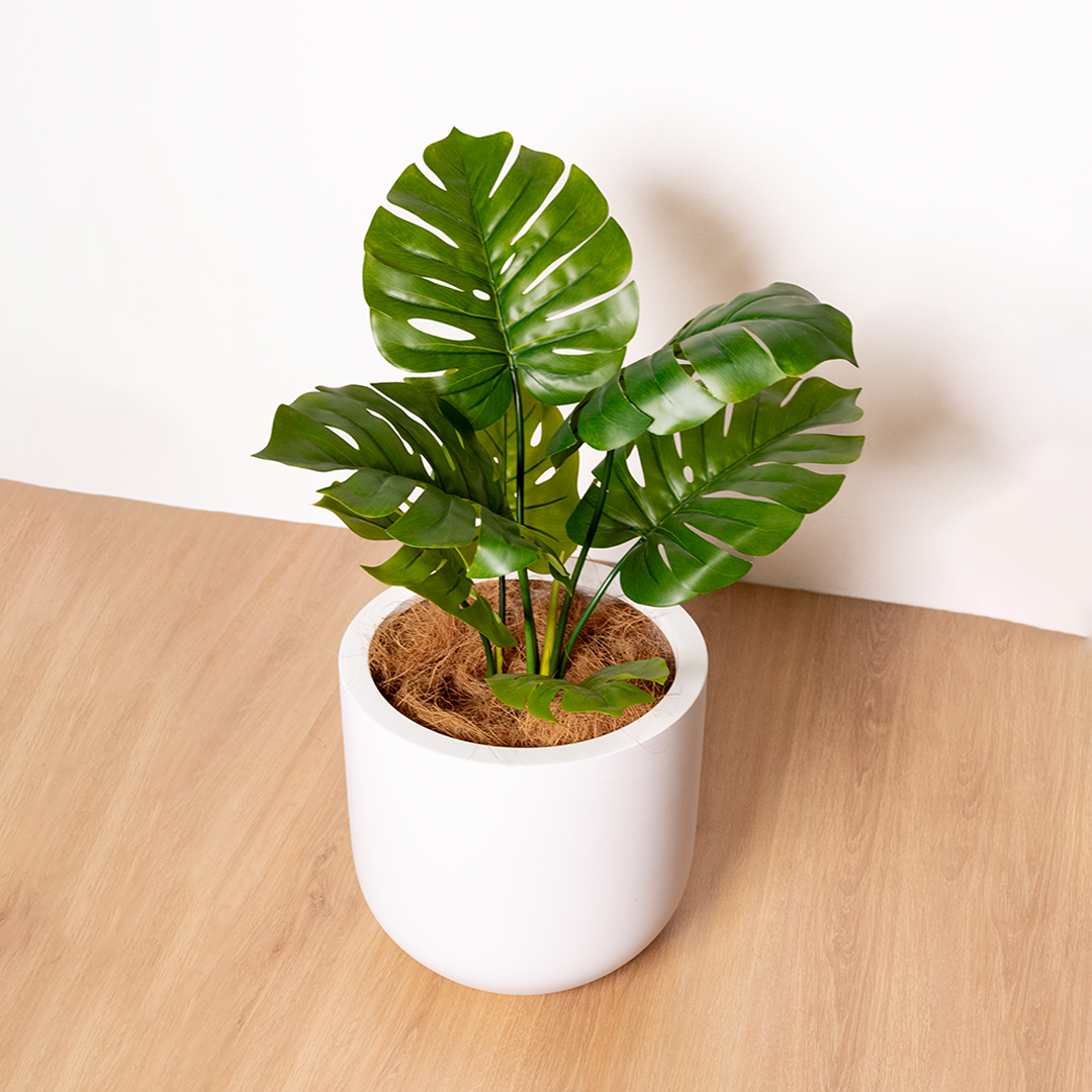 60cm Artificial Monstera