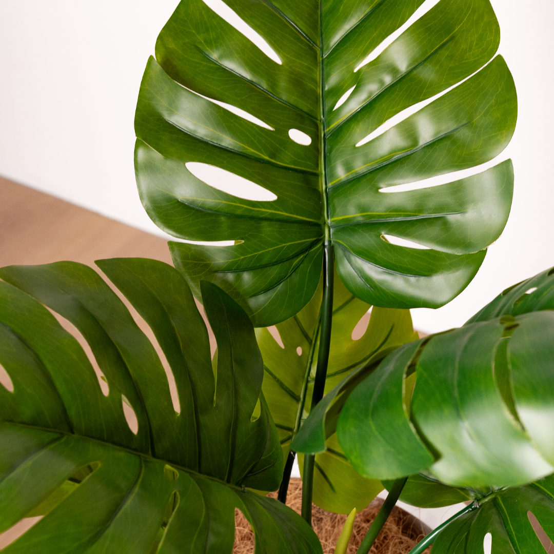 60cm Artificial Monstera