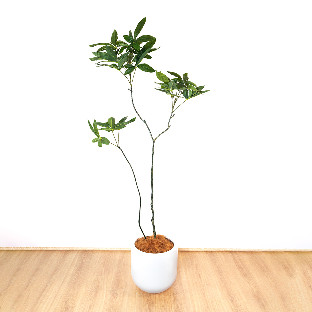 170cm Artificial Money Tree