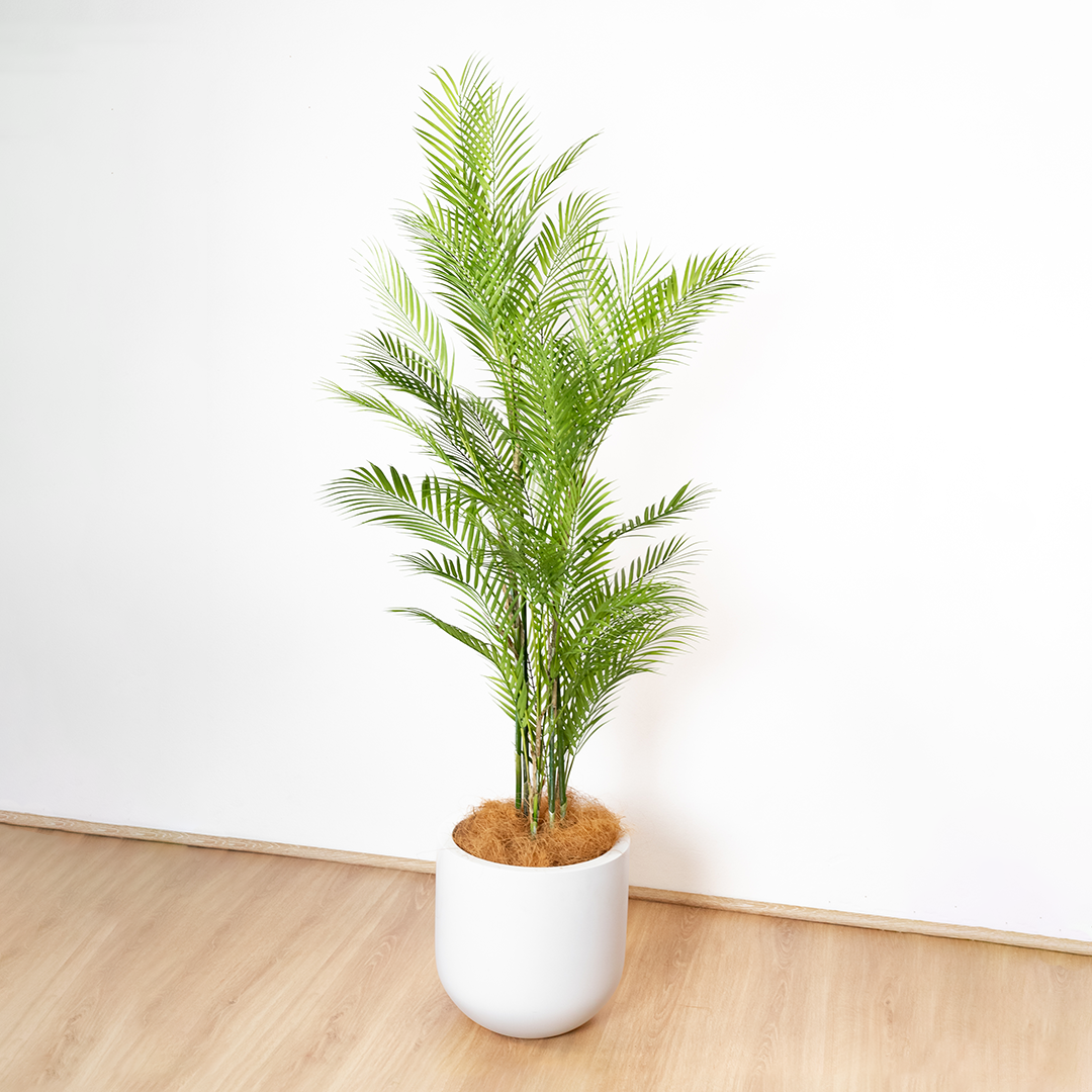 151cm Artificial Palm Tree