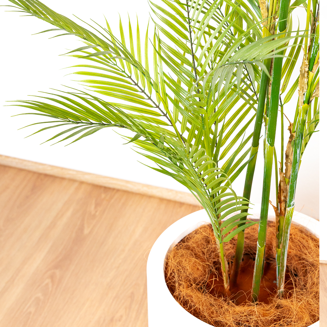 151cm Artificial Palm Tree