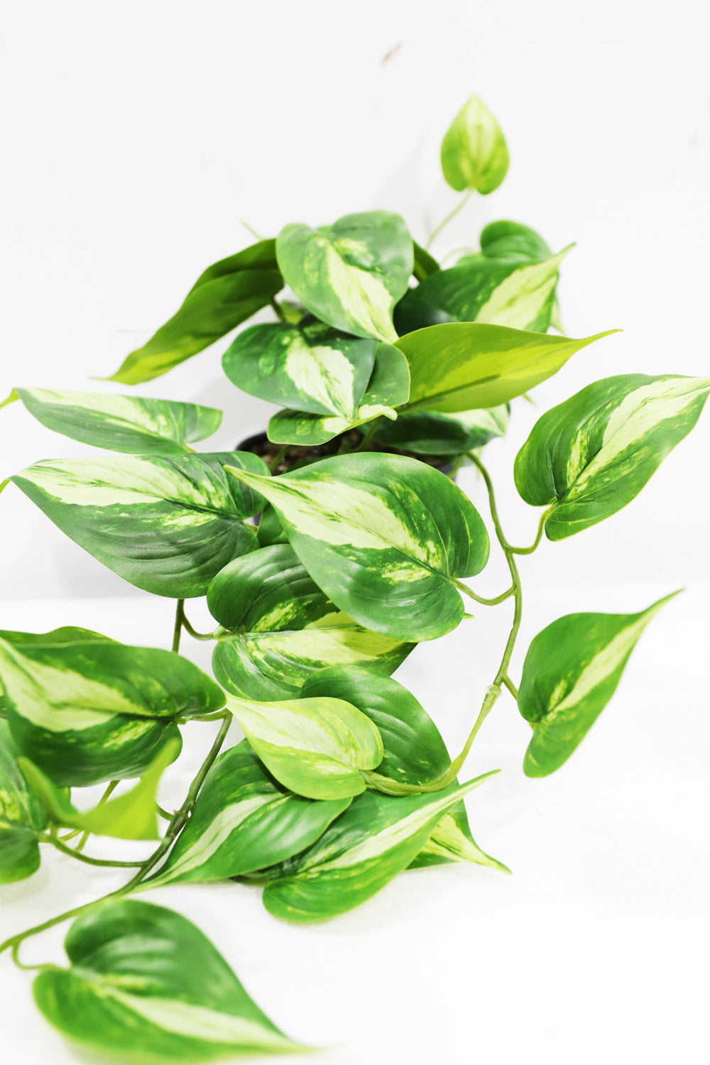 45cm Potted Artificial Pothos