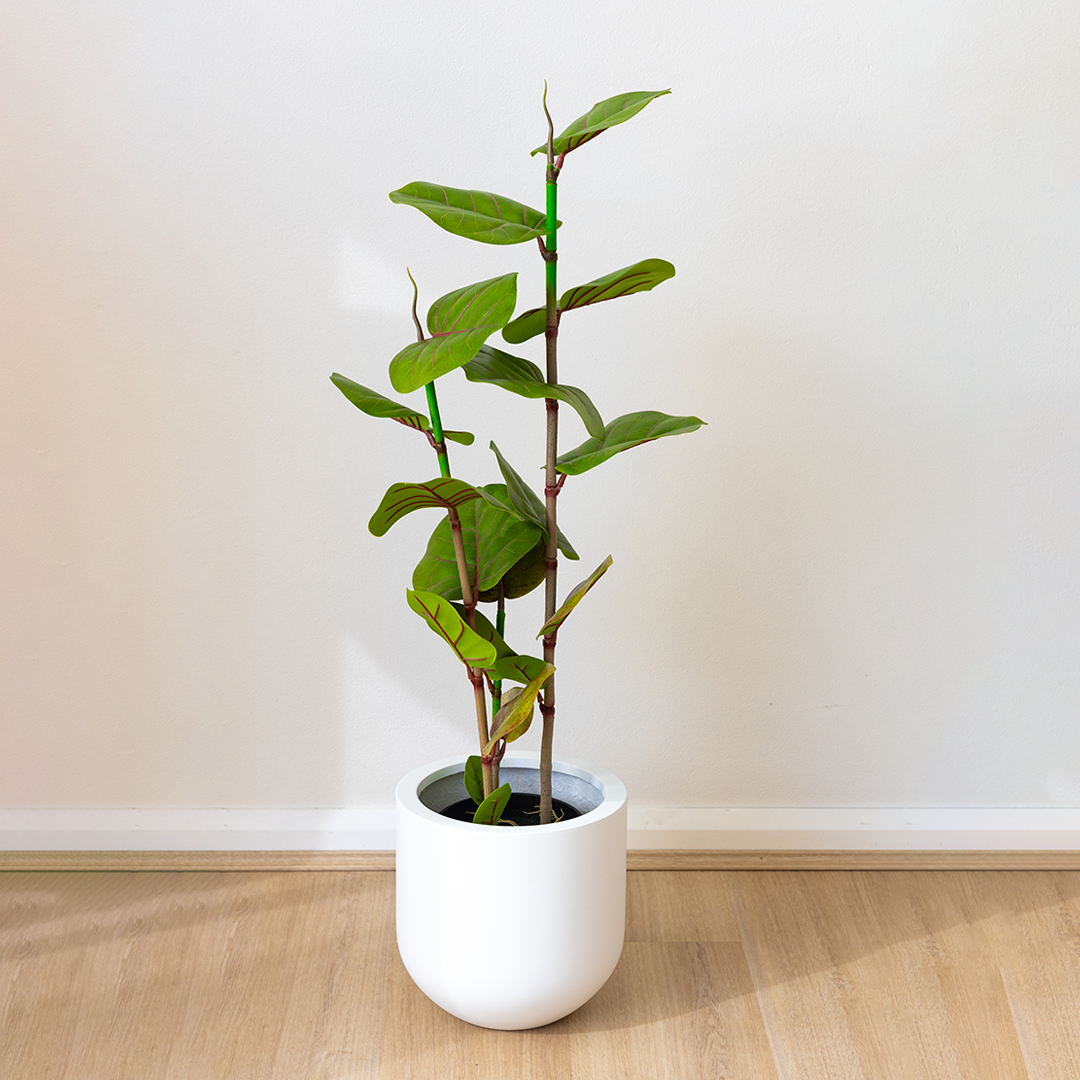 100cm Artificial Fig Tree