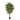 180cm Potted Artificial Smilax Tree