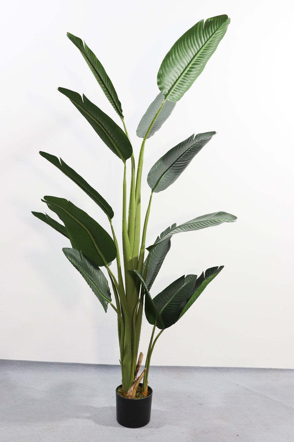 180cm Potted Artificial Strelitzia Nicolai