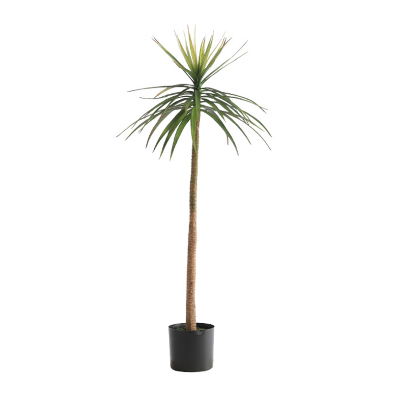 125cm Artificial Yucca