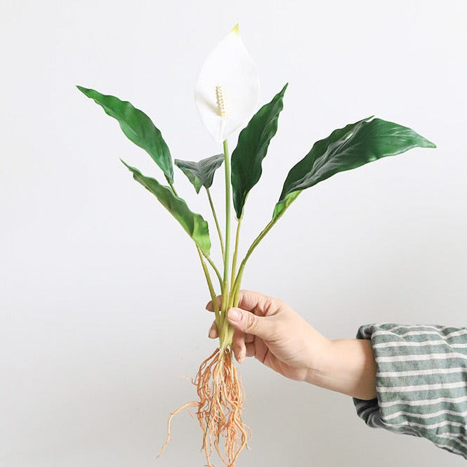 36cm Artificial Peace Lily Branch